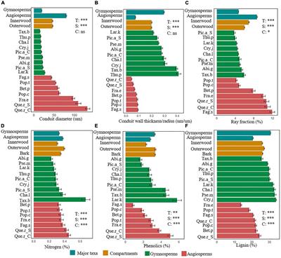 Stem Trait Spectra Underpin Multiple Functions of Temperate Tree Species